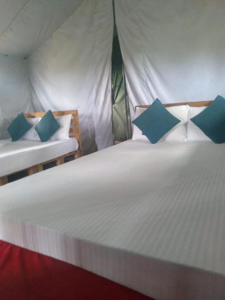 Ella Glamping Hotel ภายนอก รูปภาพ