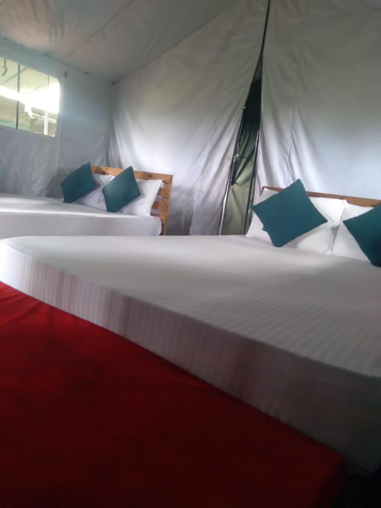 Ella Glamping Hotel ภายนอก รูปภาพ