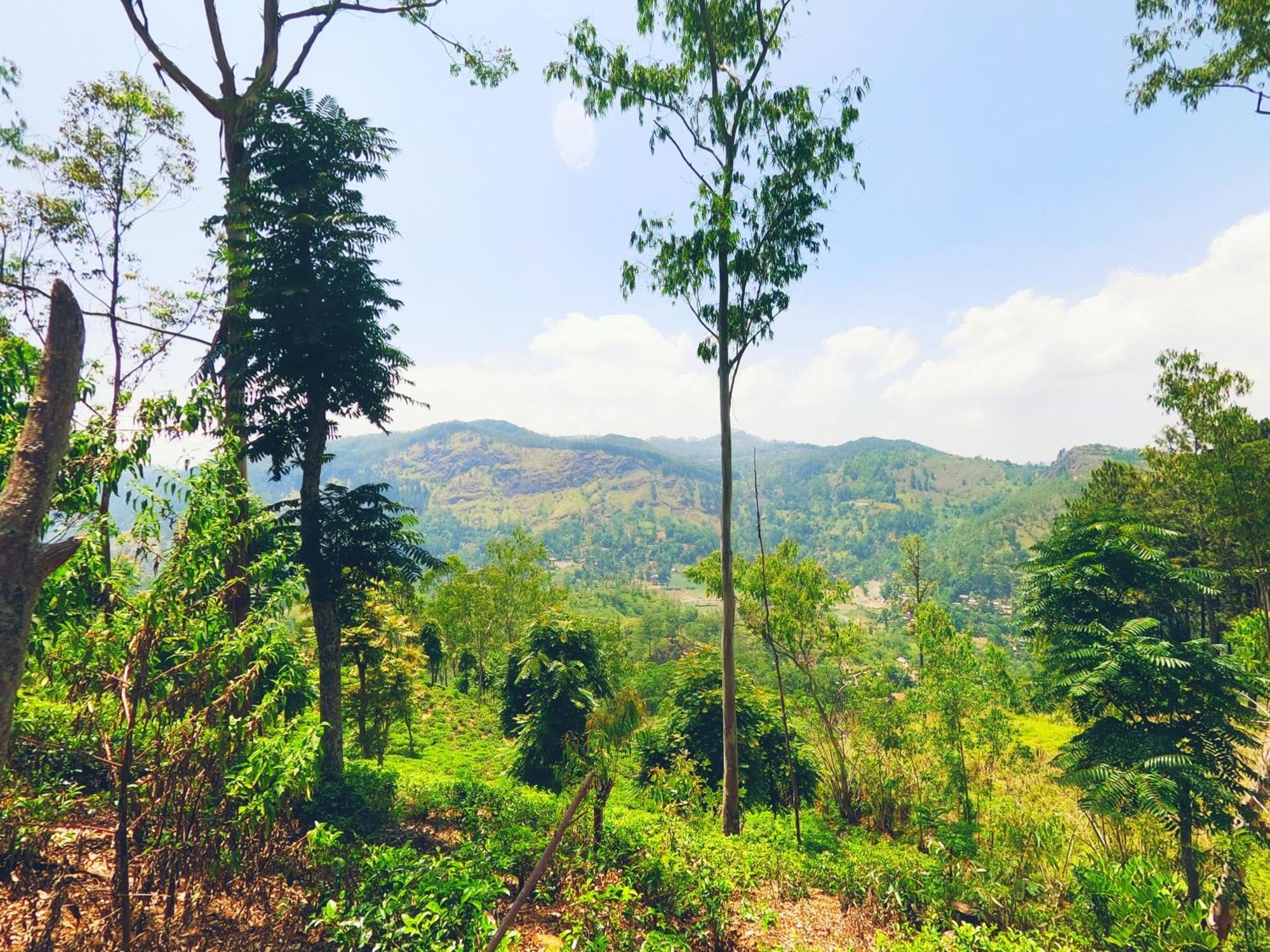 Ella Glamping Hotel ภายนอก รูปภาพ