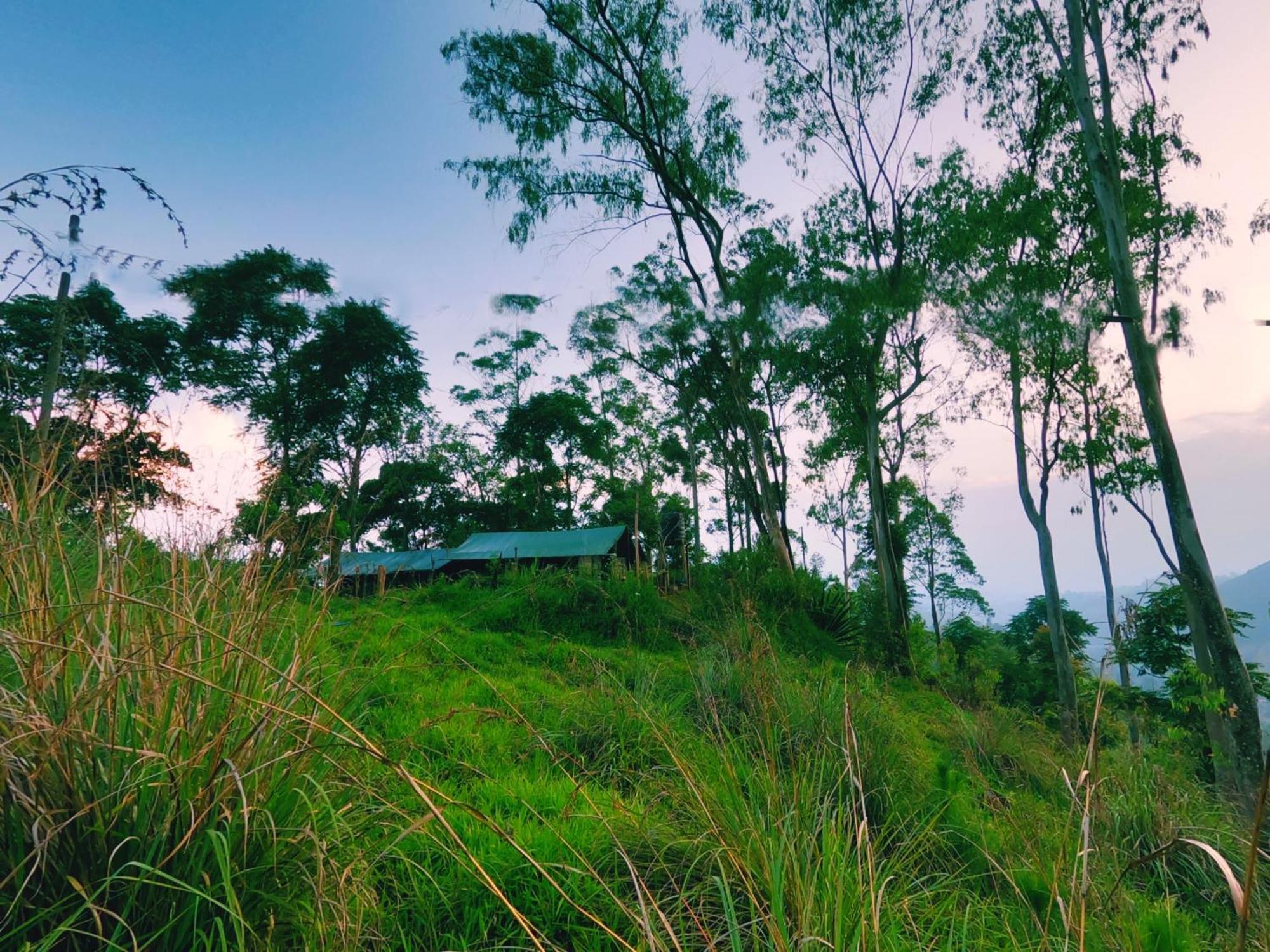 Ella Glamping Hotel ภายนอก รูปภาพ