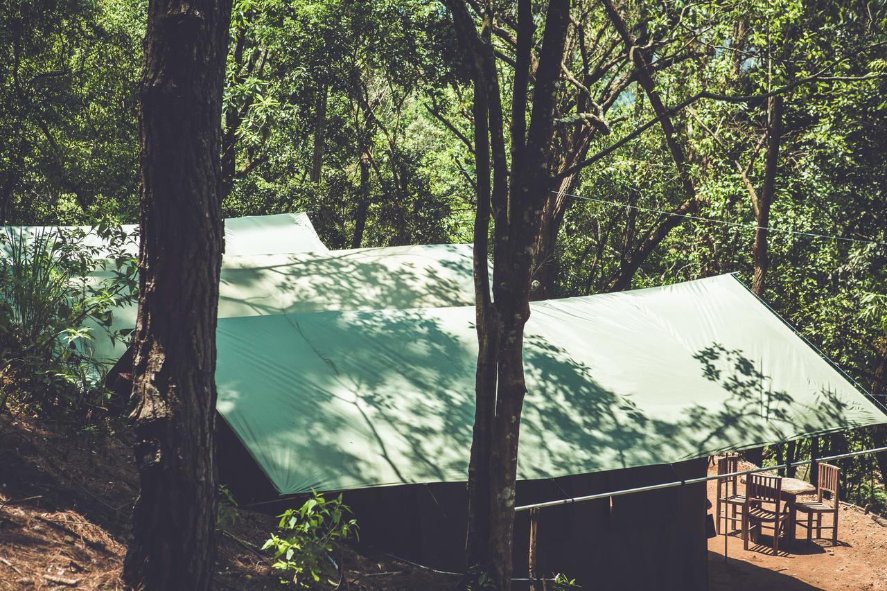 Ella Glamping Hotel ภายนอก รูปภาพ