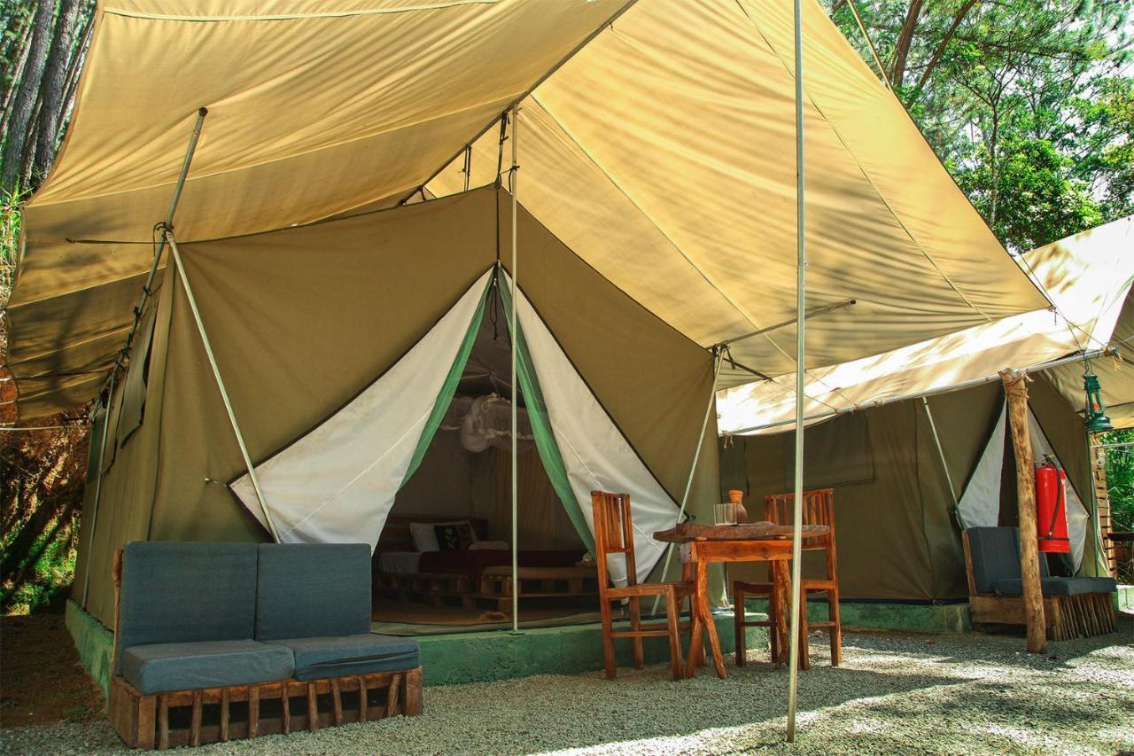 Ella Glamping Hotel ภายนอก รูปภาพ