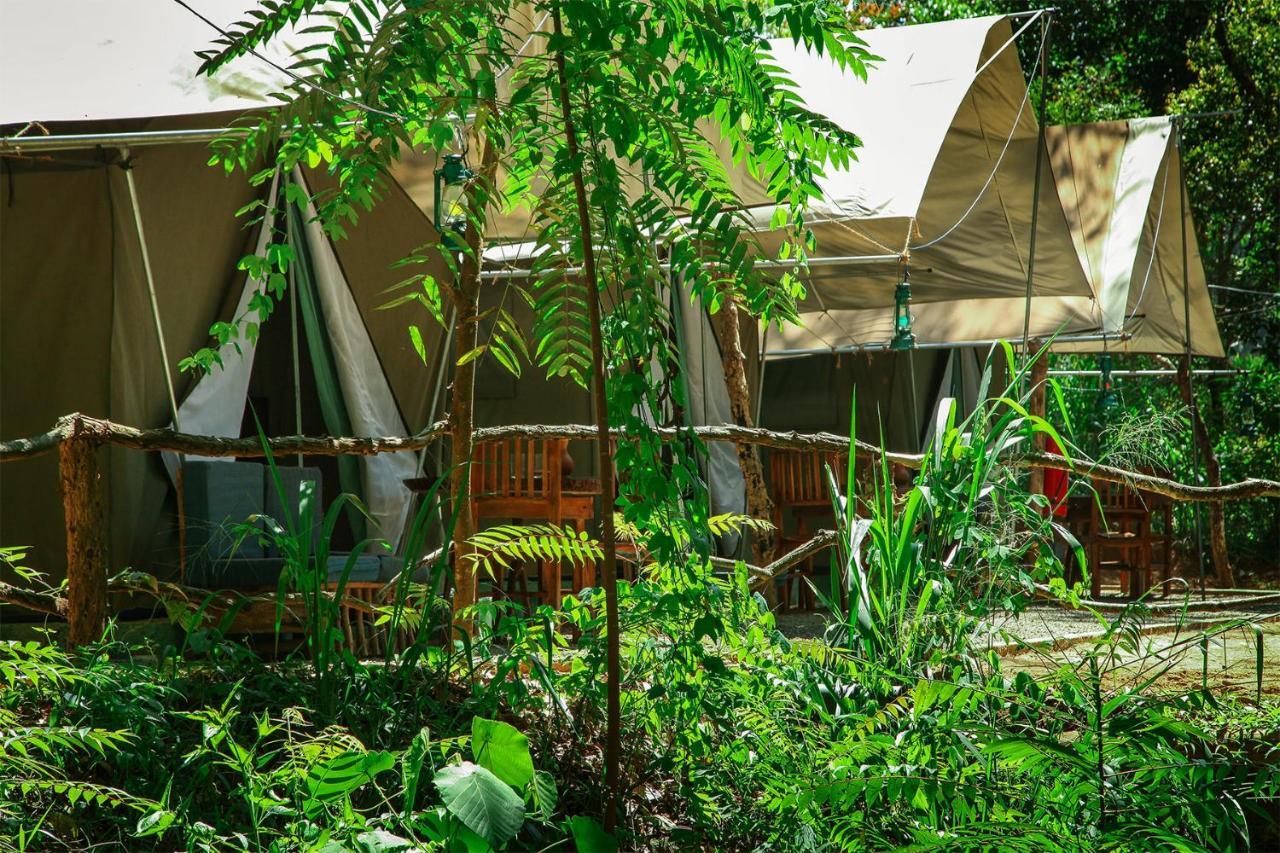 Ella Glamping Hotel ภายนอก รูปภาพ